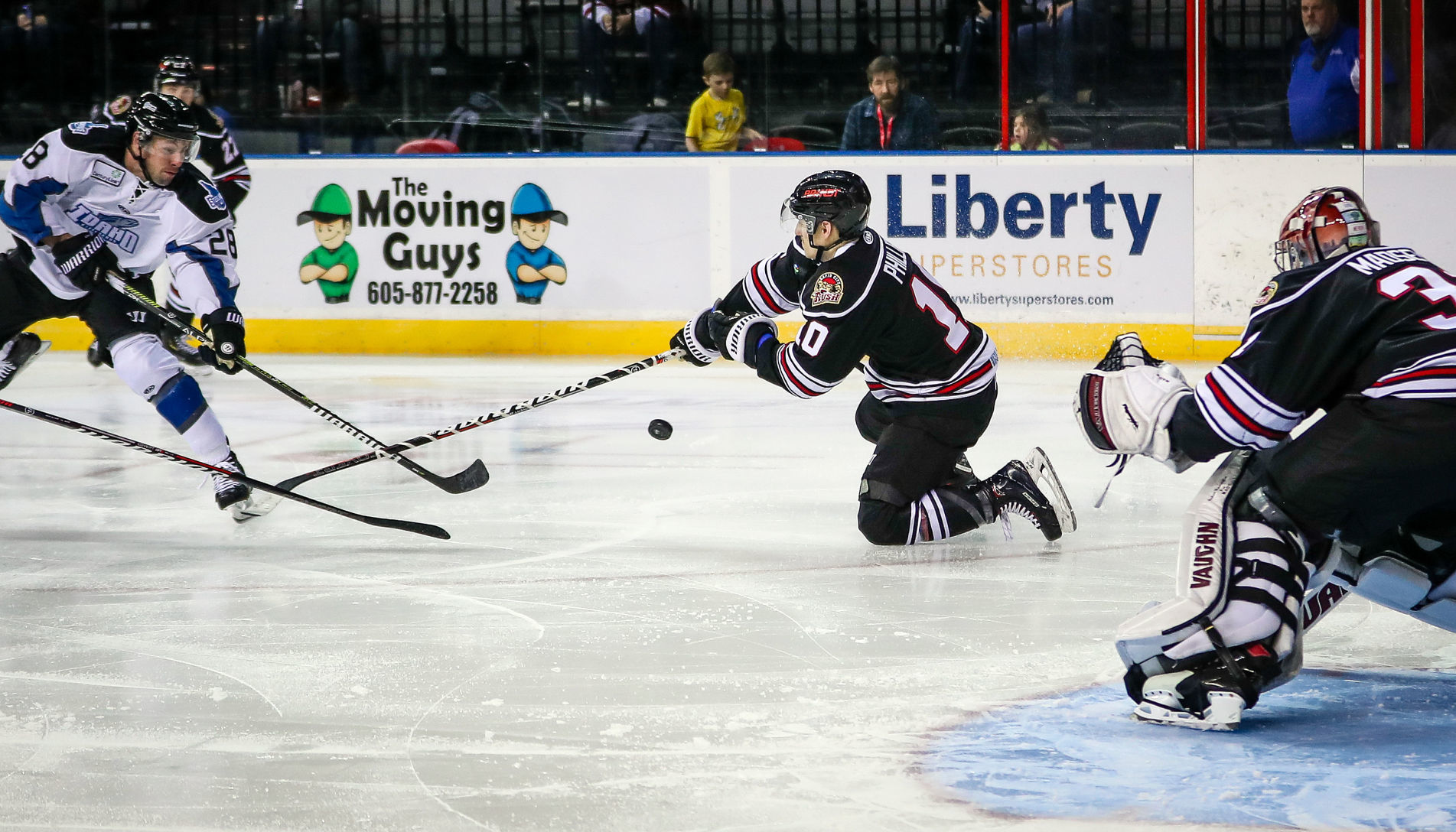 Rush host Steelheads
